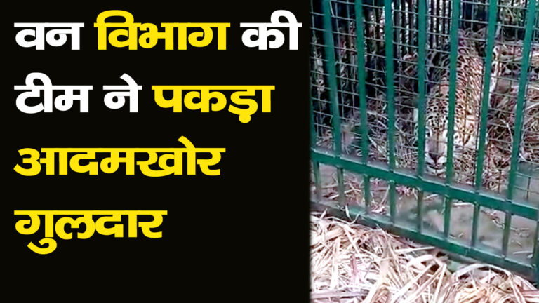 बच्चों व किसानों की जान का दुश्मन बना गुलदार पिंजरे में हुआ क़ैद