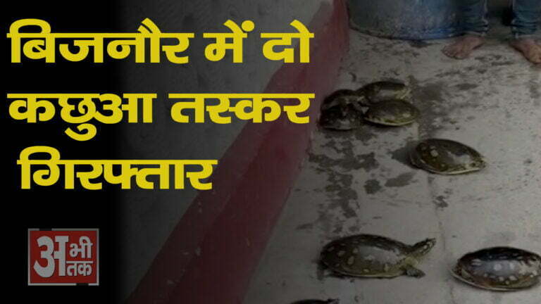 दुर्लभ प्रजाति के कछुआ तस्करों को किया गिरफ्तार