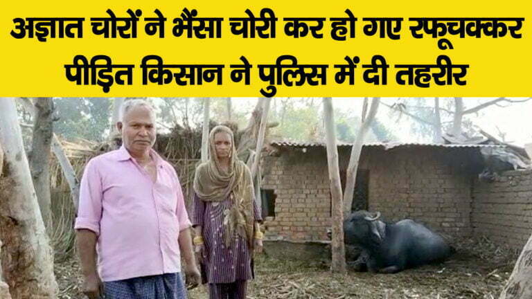 किसान के घेर में घुसकर अज्ञात चोरों ने भैंसा चोरी कर रफूचक्कर हो गए