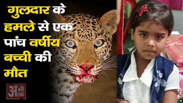 गुलदार के हमले से मासूम बच्ची की मौत