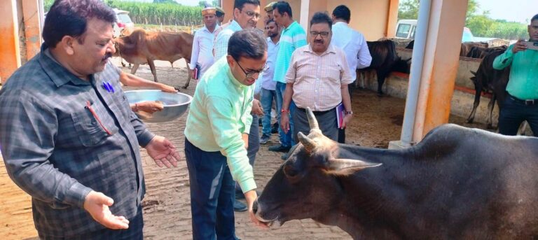 जिलाधिकारी अंकित कुमार अग्रवाल द्वारा ग्राम लक्खुवाला स्थित प्राथमिक विद्यालय का किया गया निरीक्षण